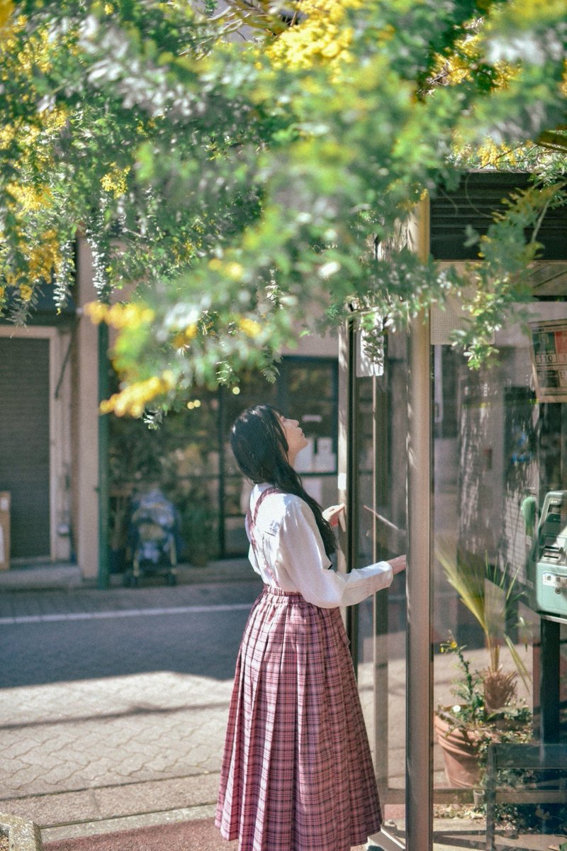 yokkoi_set's tweet photo. 🌼 https://t.co/CpOd8kZ3zm