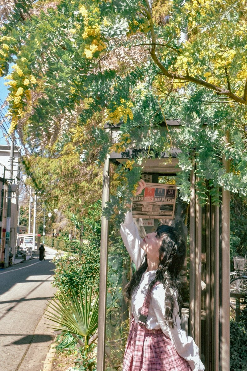 yokkoi_set's tweet photo. 🌼 https://t.co/CpOd8kZ3zm