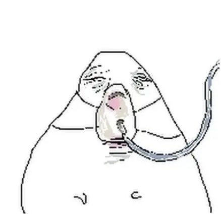 KLAUS HK tweet media