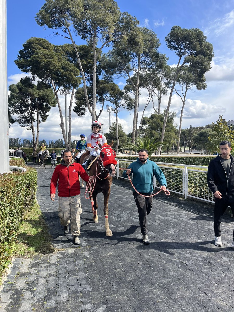 ŞAFAK GÜMÜŞ tweet media