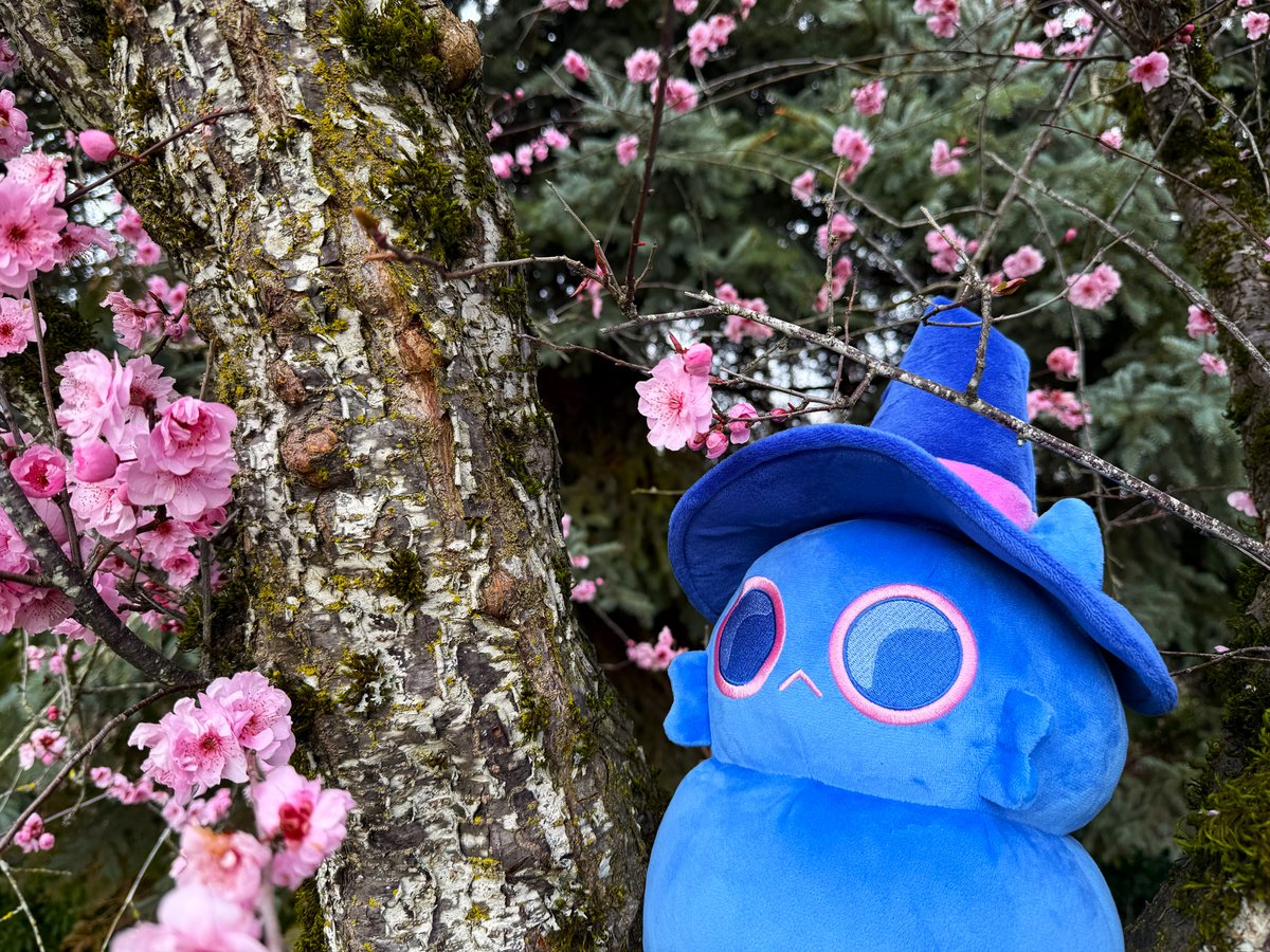 encifer's tweet photo. Just 3 days left to get your own little magical cat!

https://t.co/mRT54Ys2zJ https://t.co/OoIMeEap11