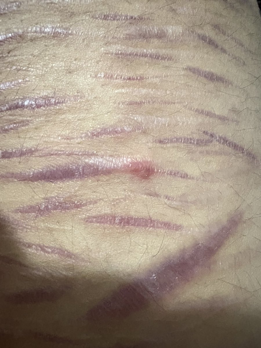 THE taco of THE oscshedtwt tweet media