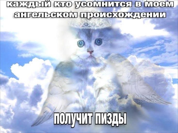 Роман Ухалов tweet media