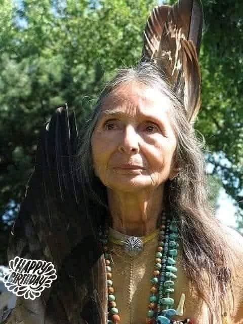 Native American History tweet media