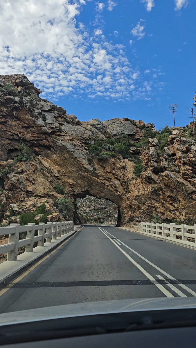 Patrycja Oosthuizen tweet media