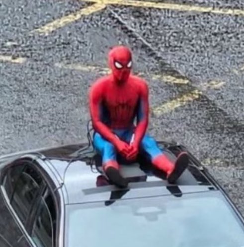 Astrum Zero tweet media