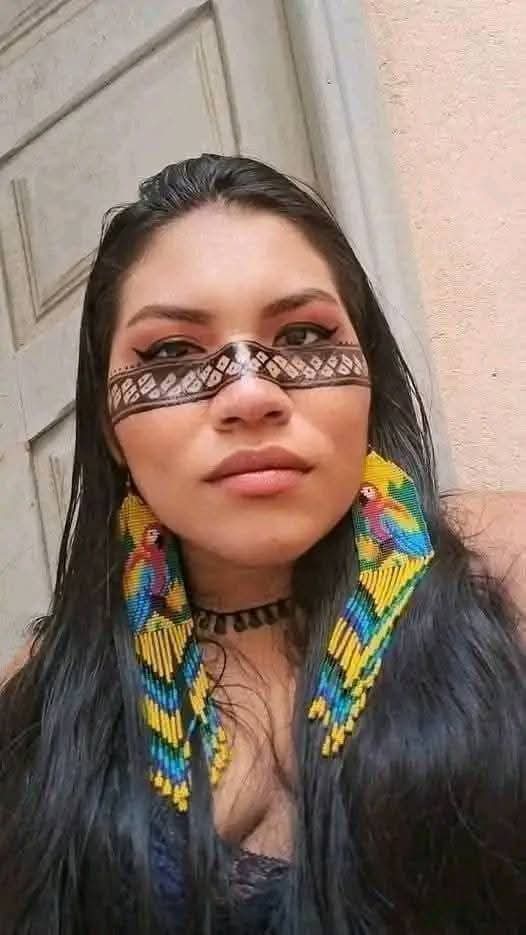 Native American History tweet media