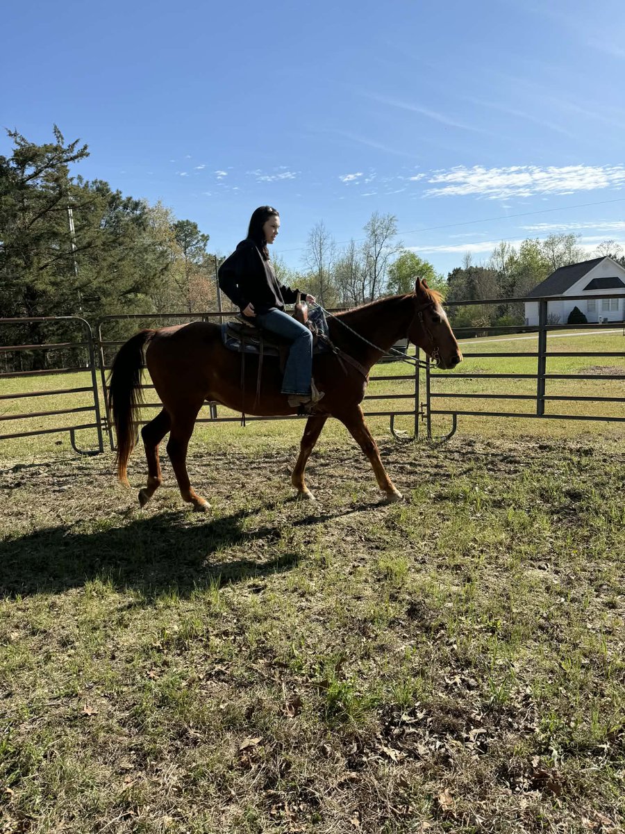 akeno skye tweet media