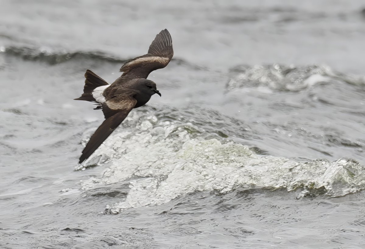 Neill Hunt tweet media