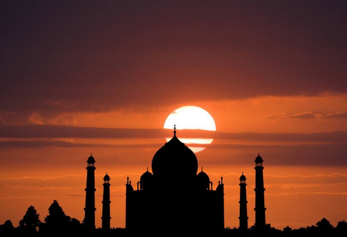 Brandi Benjamin tweet media