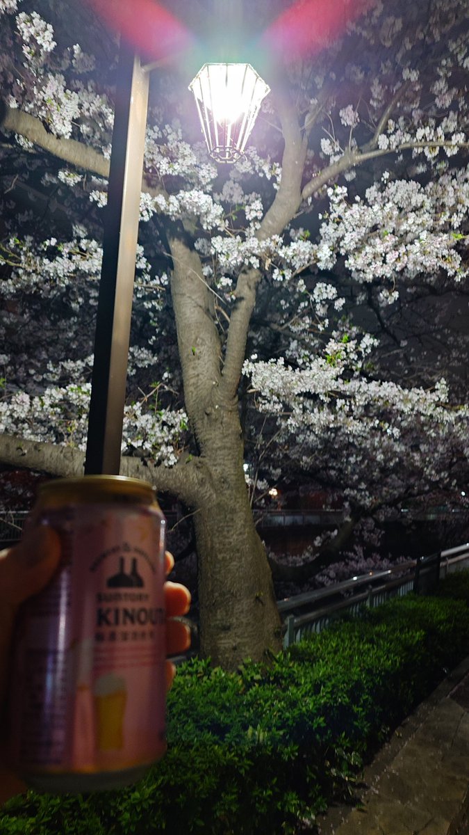 近藤憲一 tweet media