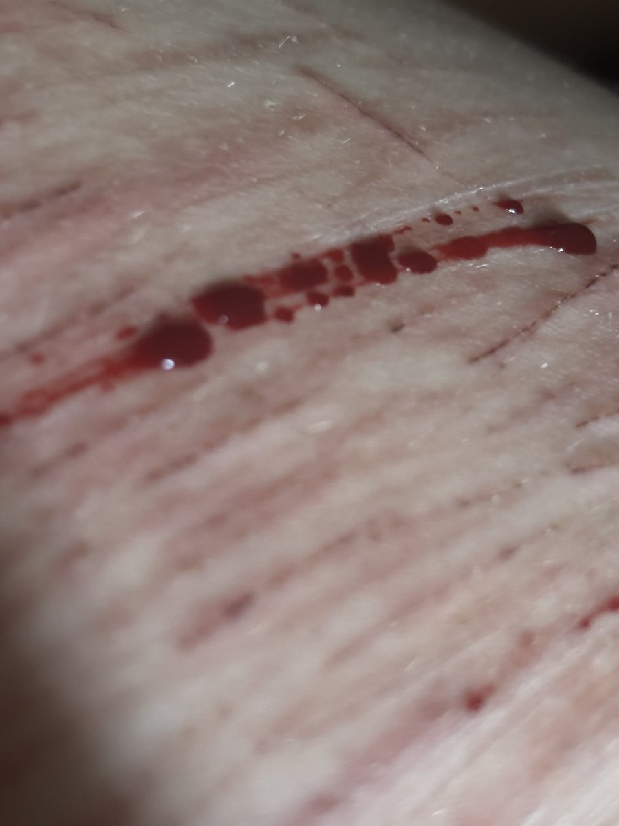 Giselle of shtwt tweet media