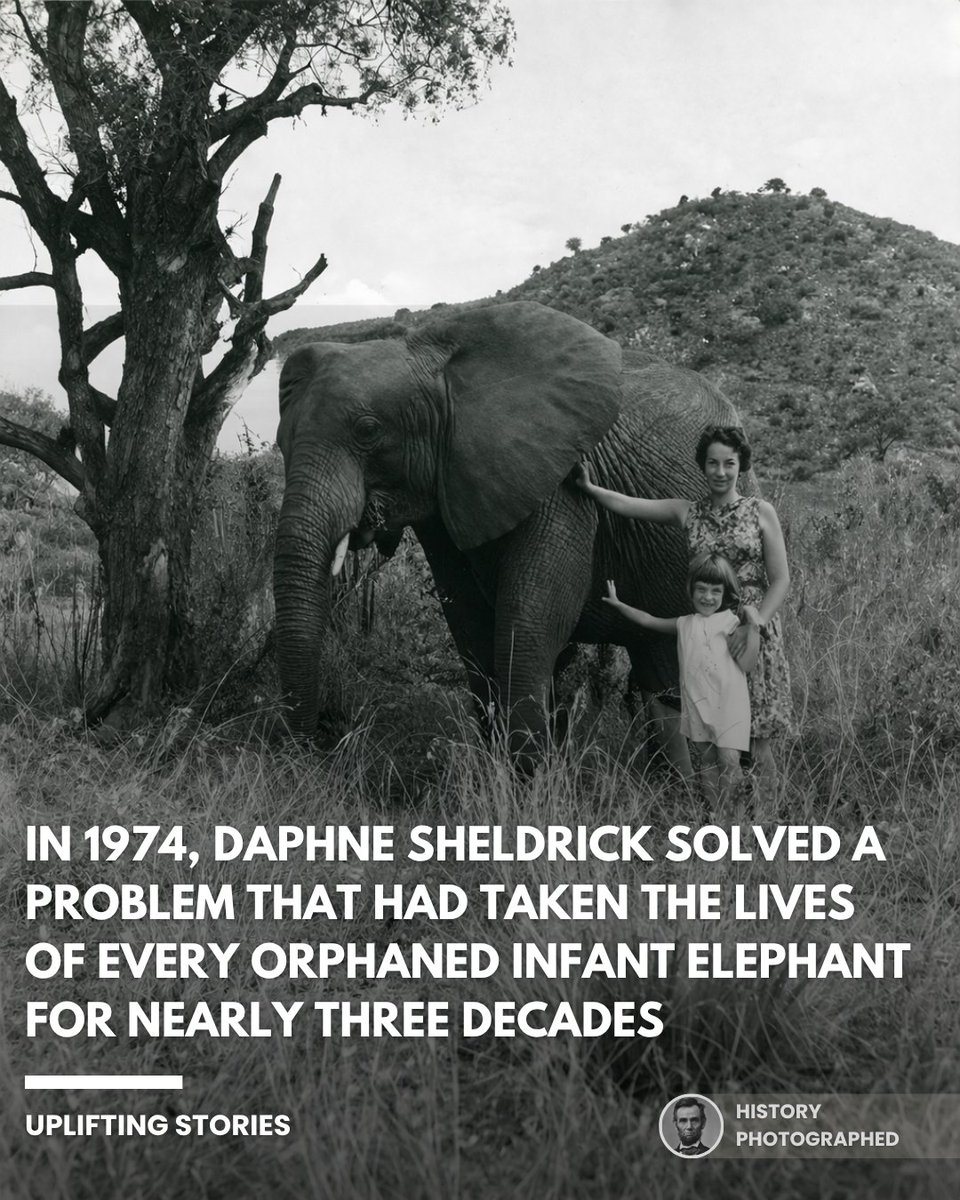 History Photographed tweet media