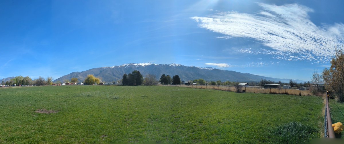 Benja311_801 tweet media