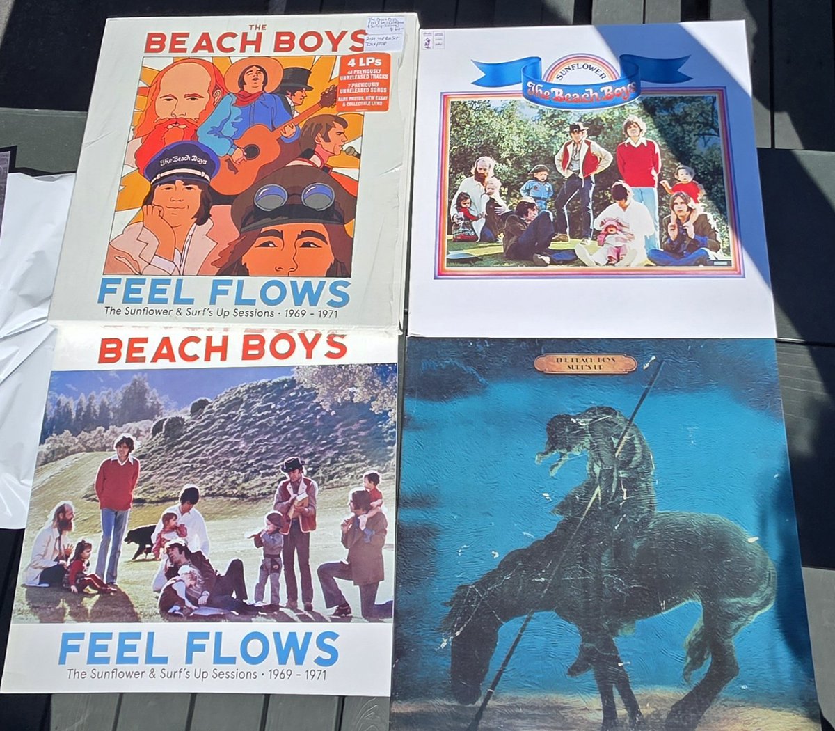 insecapid🏄‍♂️🦮 tweet media