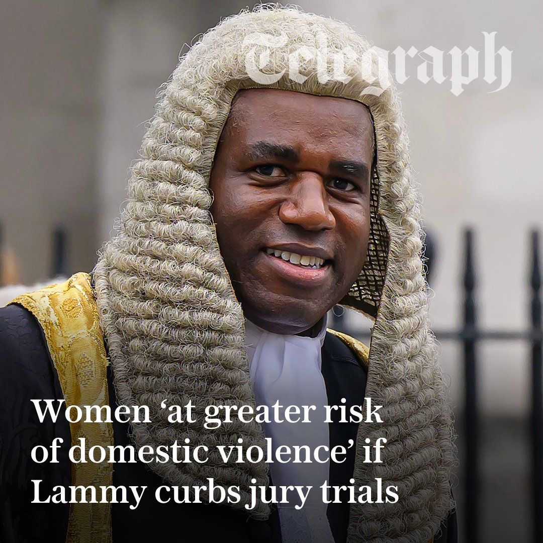 The Telegraph tweet media