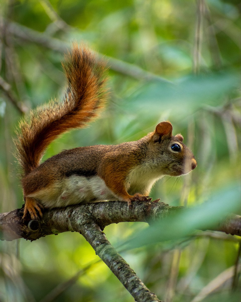 grey🔻|-/ tweet media