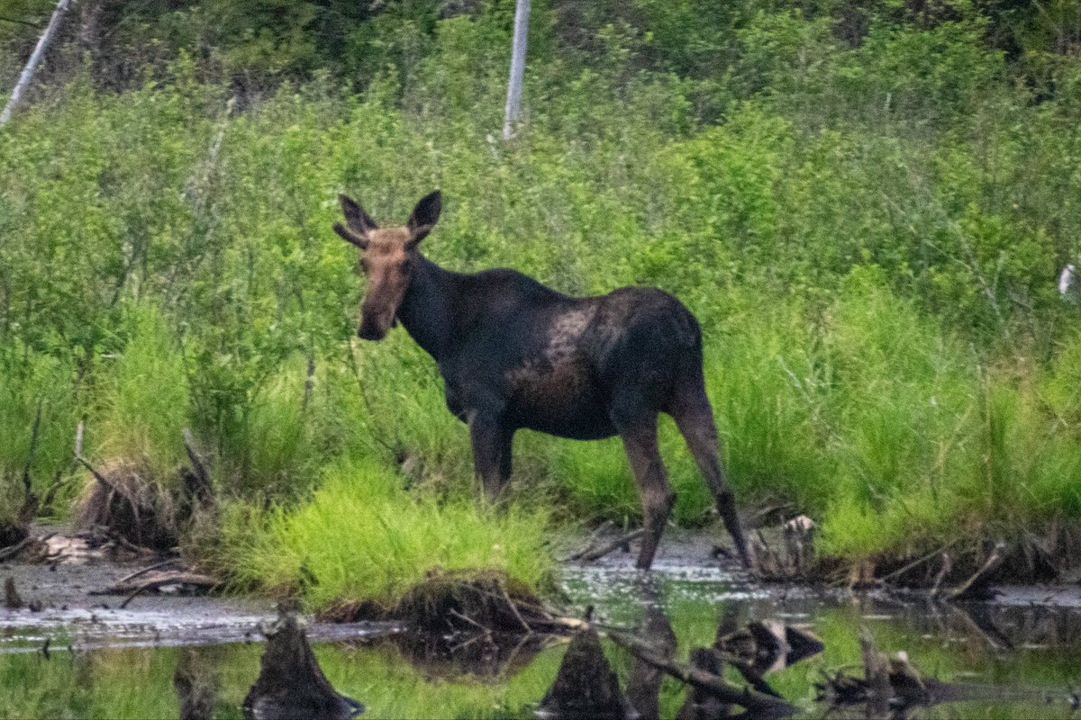 grey🔻|-/ tweet media