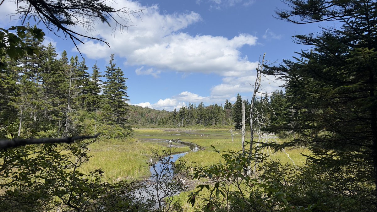 grey🔻|-/ tweet media