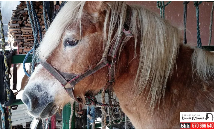 Agata Agata #PokonamyZło tweet media