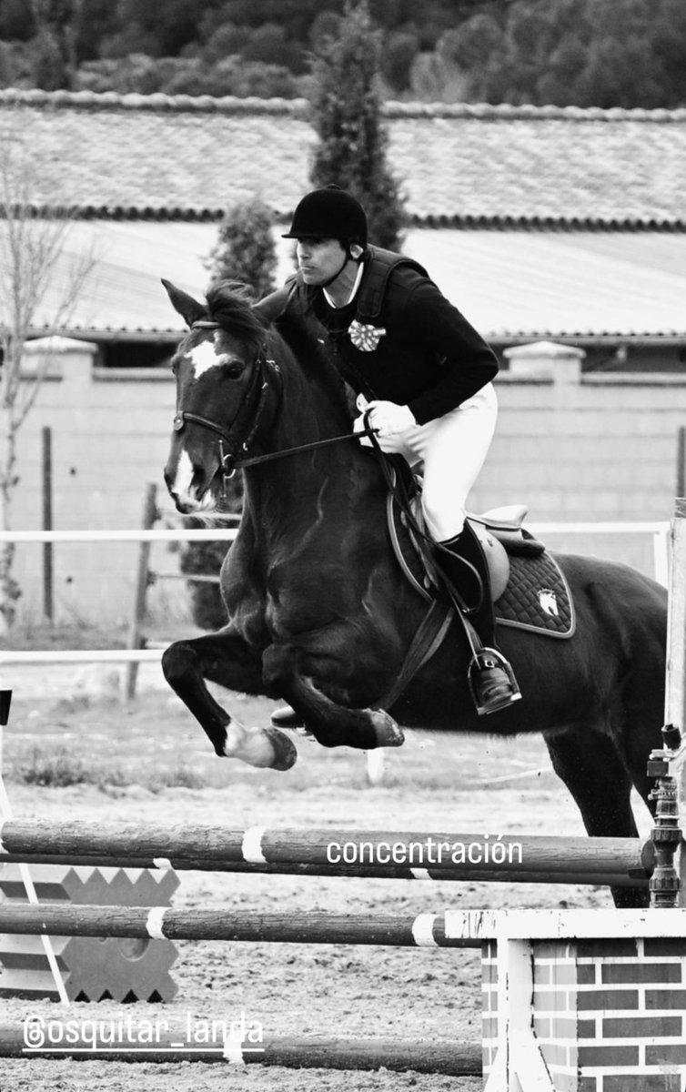 Silvia 🎬 🏇🏻 tweet media