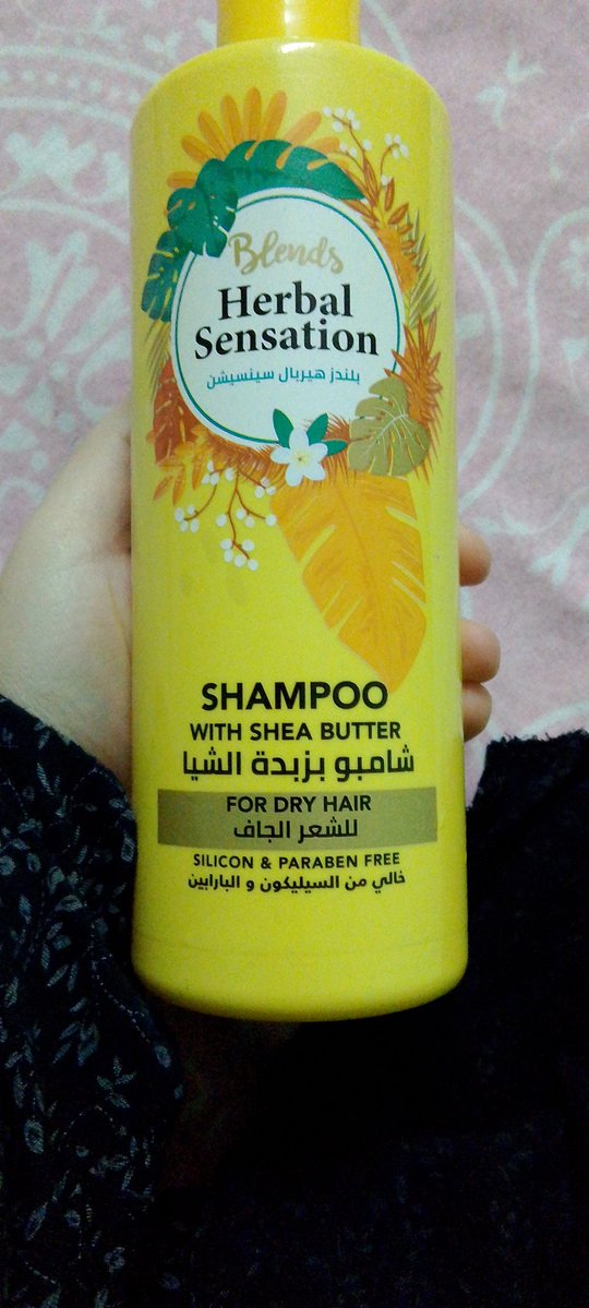 Fatoma Ghazy tweet media