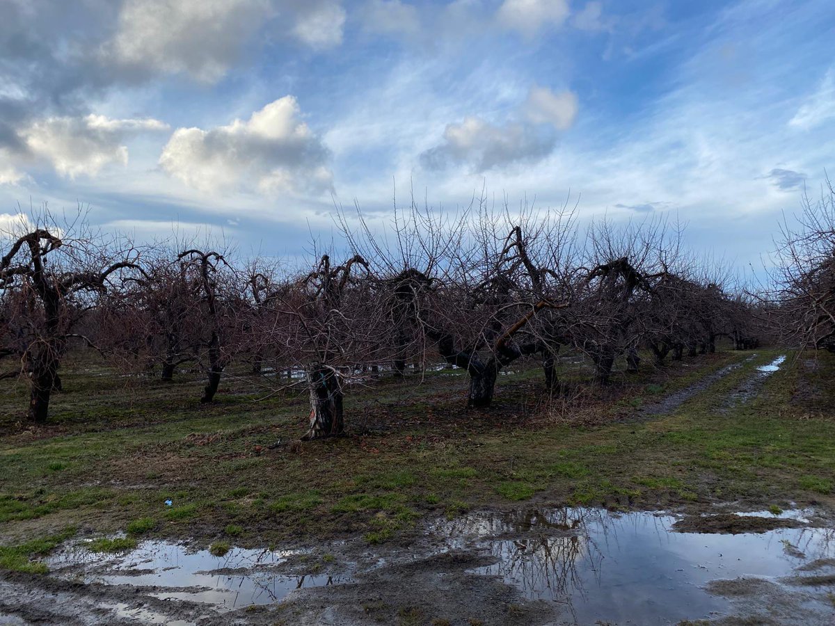 United Farm Workers tweet media