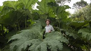 Степан Семенов tweet media