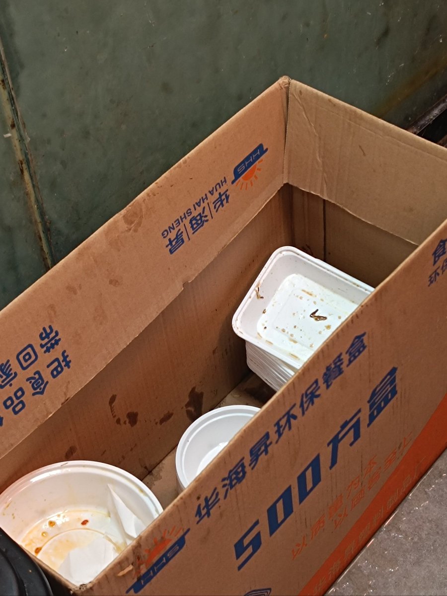 Mr.Elias tweet media