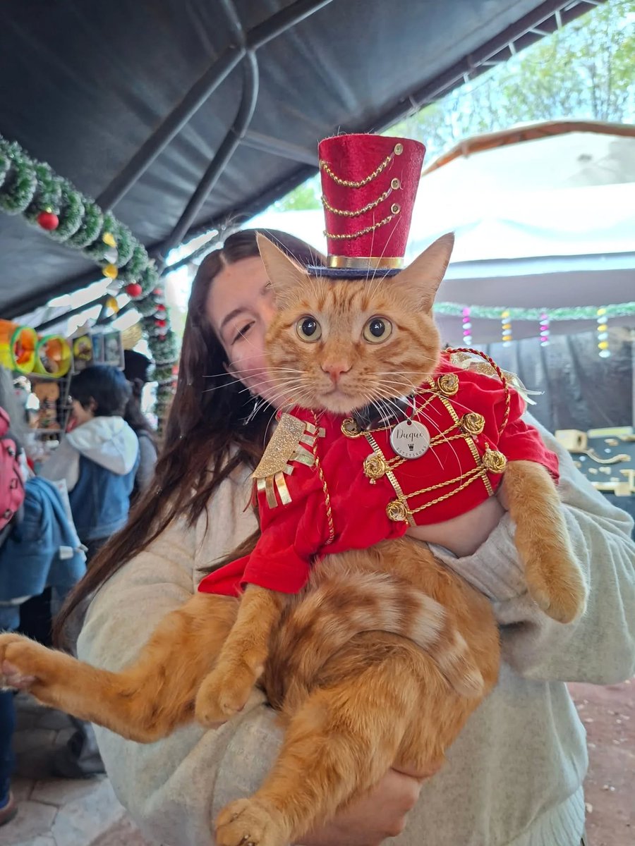 Chilango tweet media