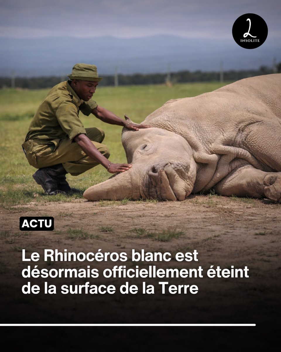 Charly M. tweet media