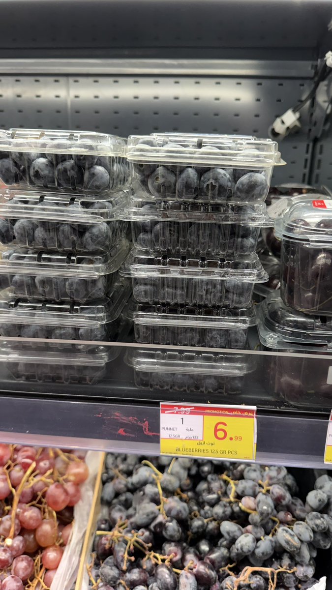 Mohammed Blueberries 🫐 tweet media