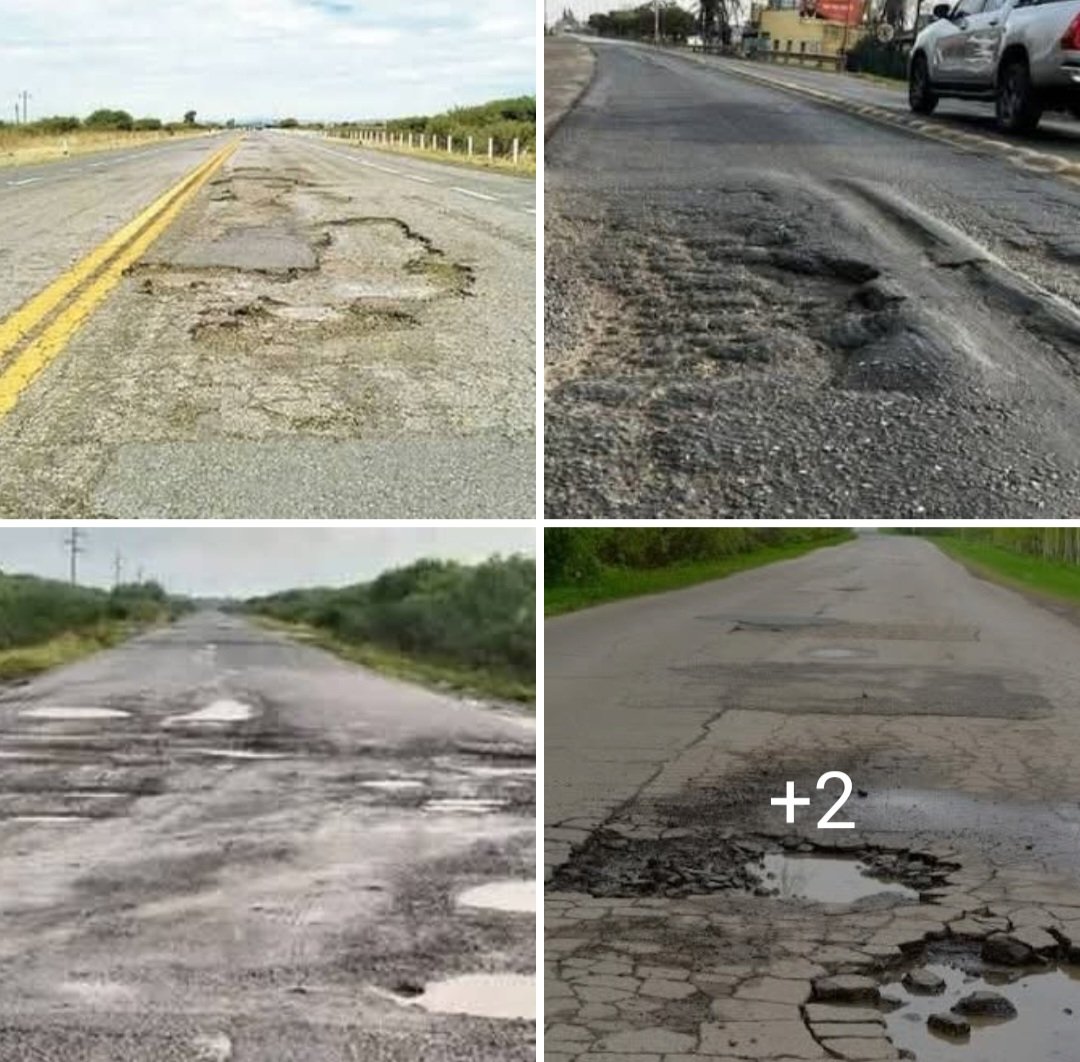 Ely Yfran tweet media