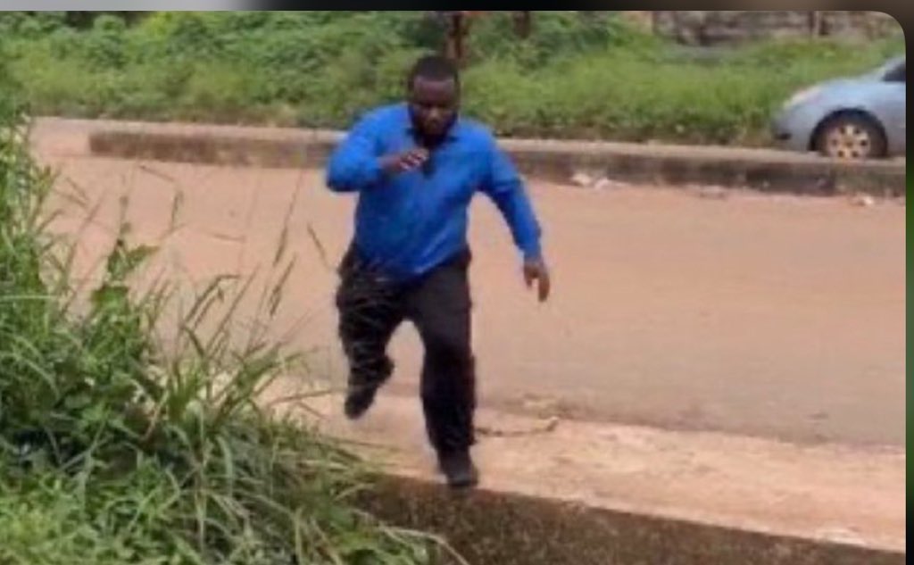 lobistars🇳🇬 tweet media