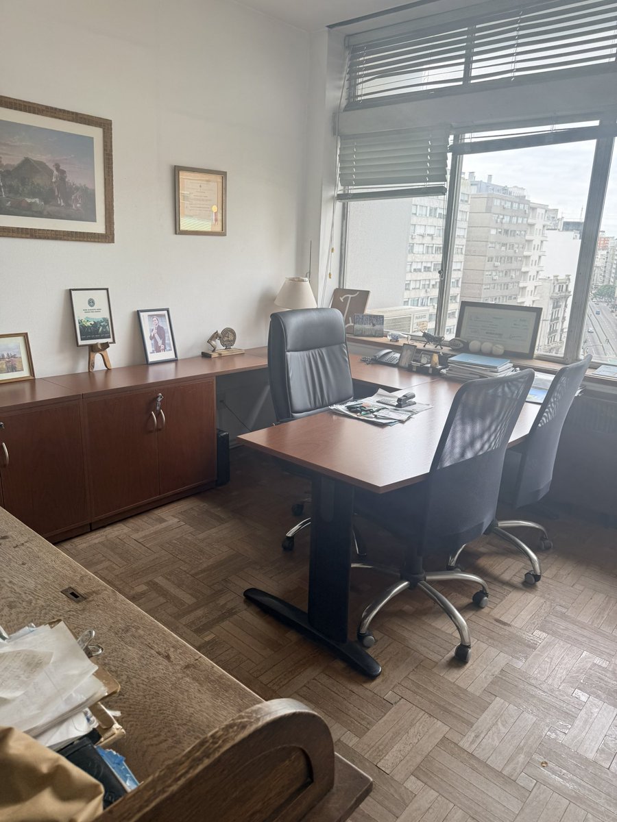 Leopardo Haberkorn tweet media