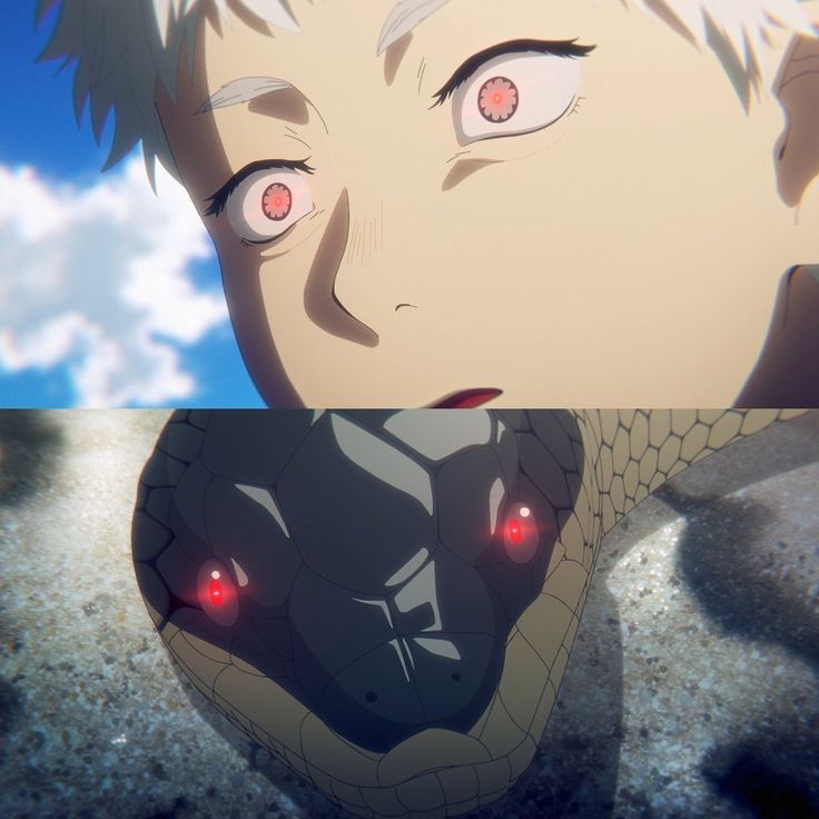 Luigi Morcant tweet media