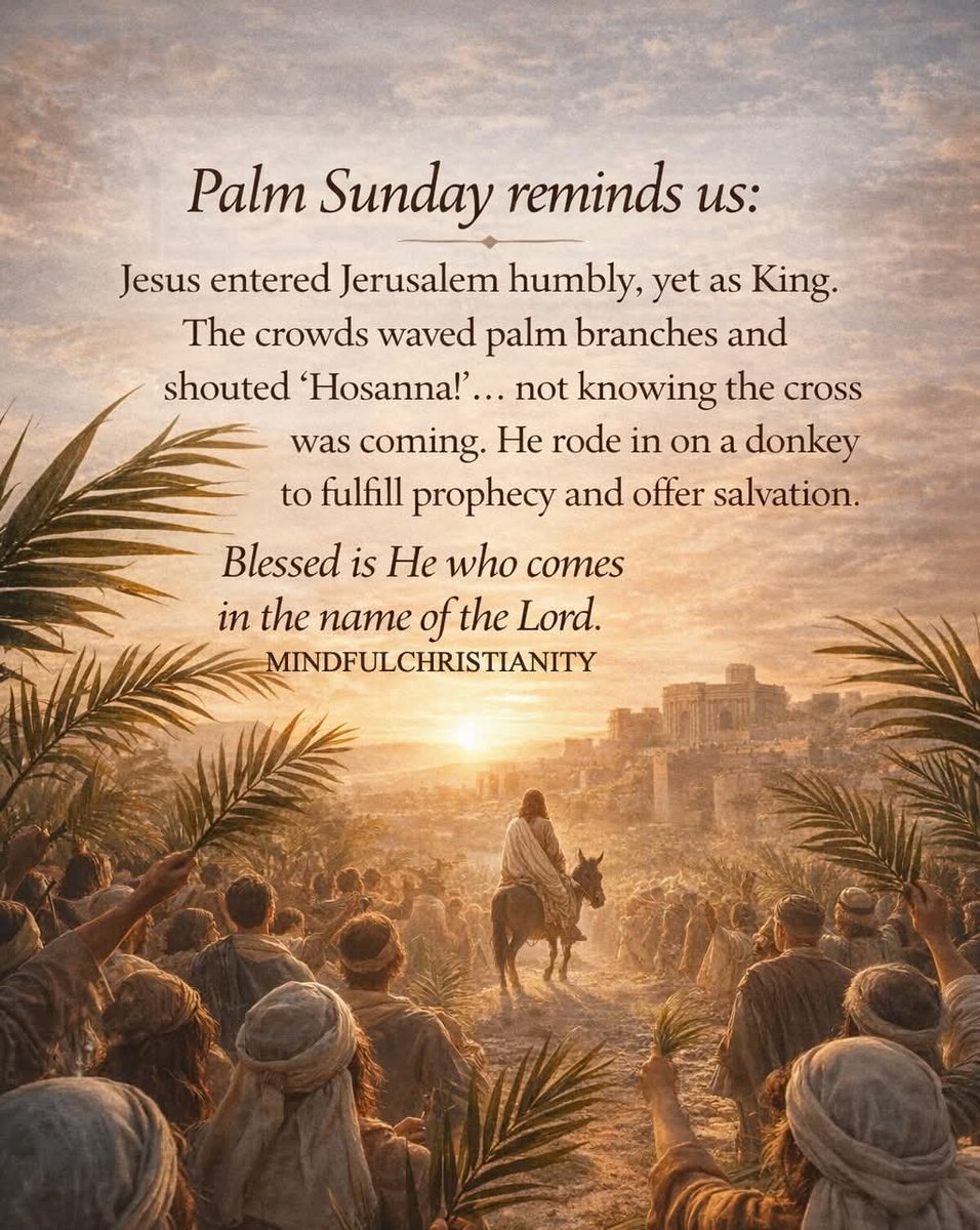 The Christian Walk tweet media