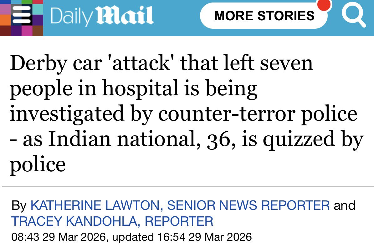 Wolf 🐺 tweet media