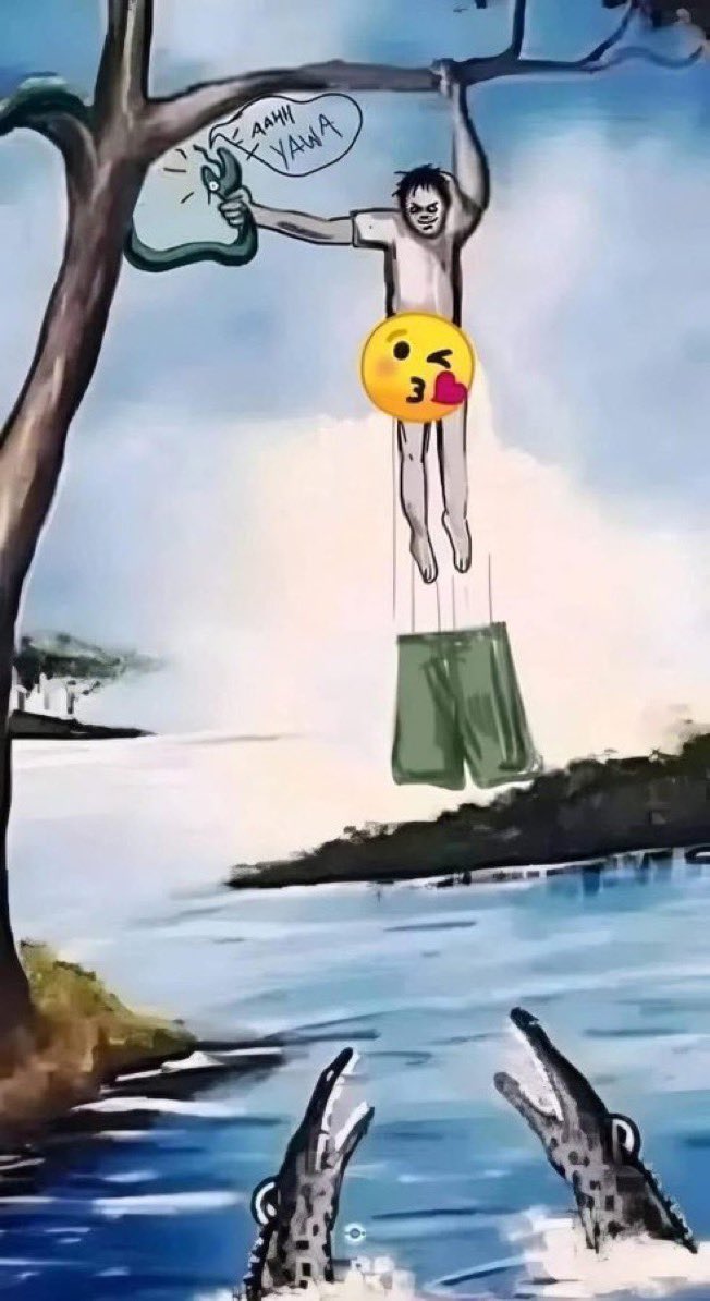 Zen 🕊️ tweet media