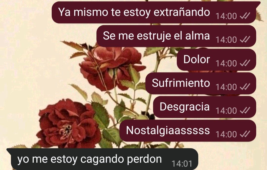 calendaria tweet media