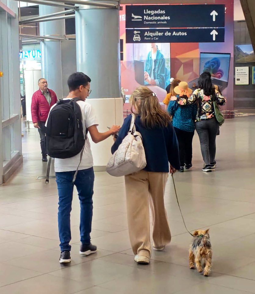 Protección Animal Bogotá tweet media