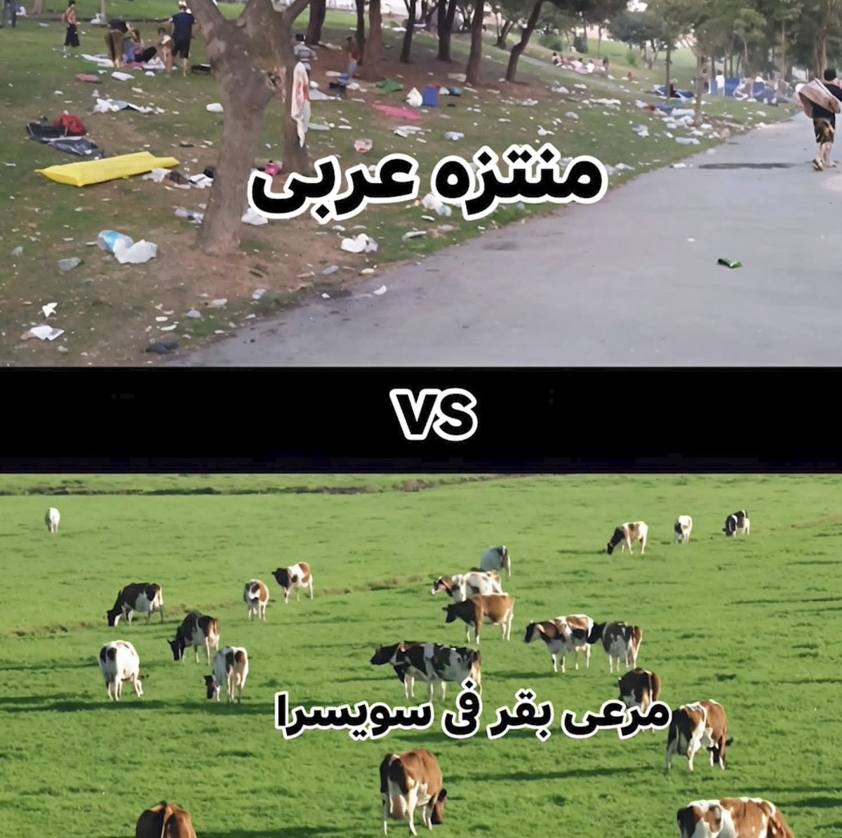 Eng.Tuto💫🍓 tweet media