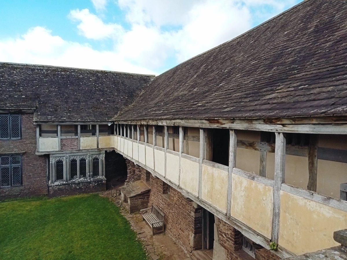 Donna Mary tweet media