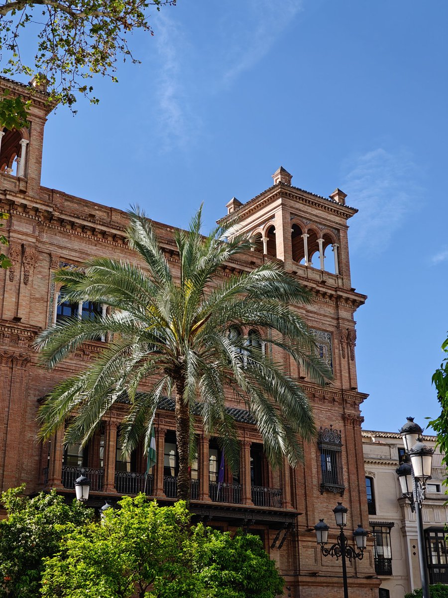 Vir 🥝 tweet media