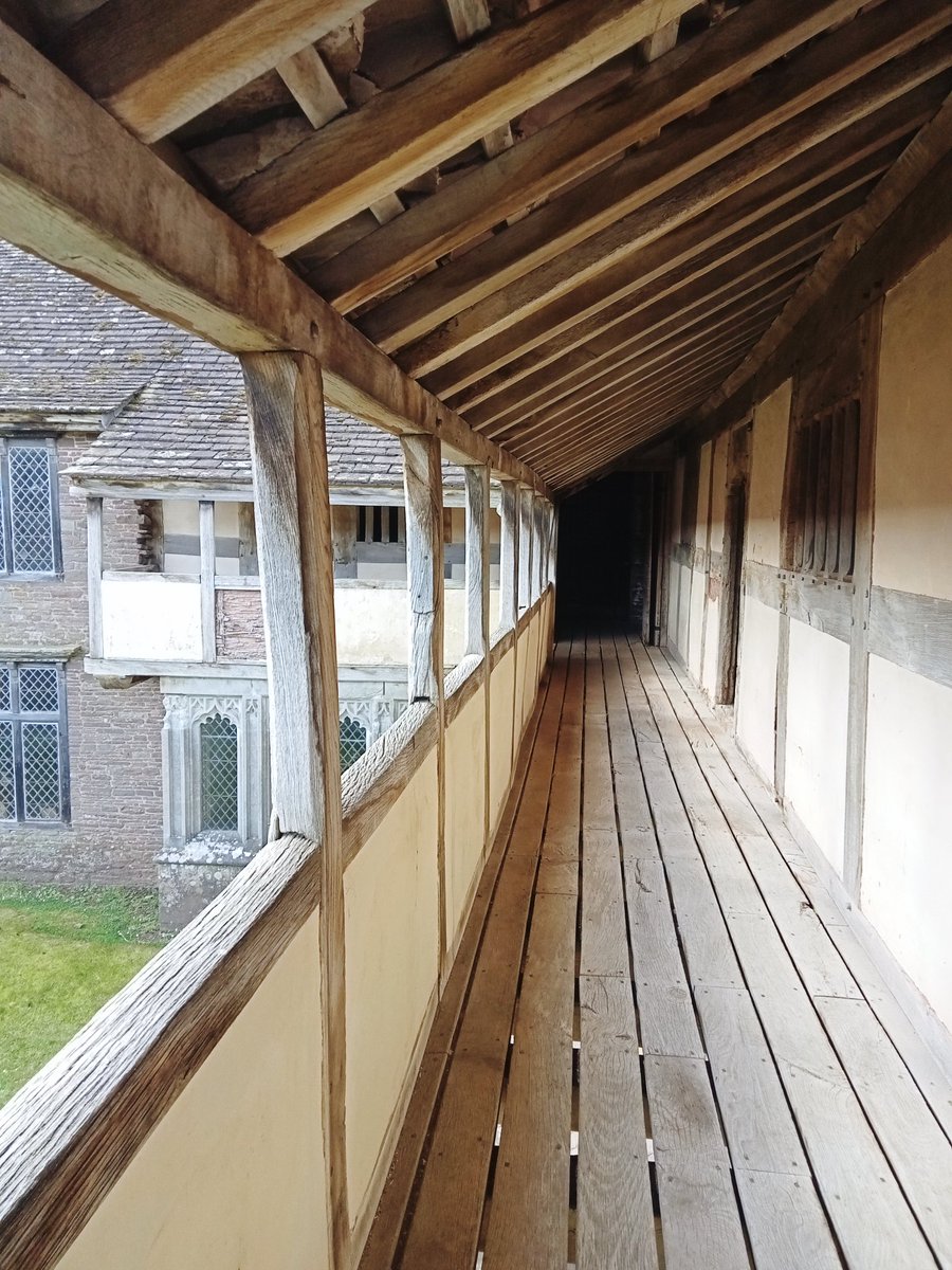 Donna Mary tweet media