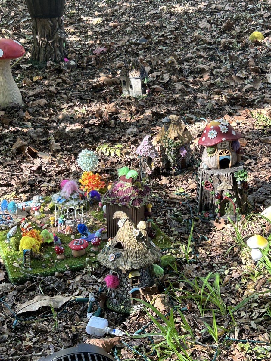 den 🧸 tweet media