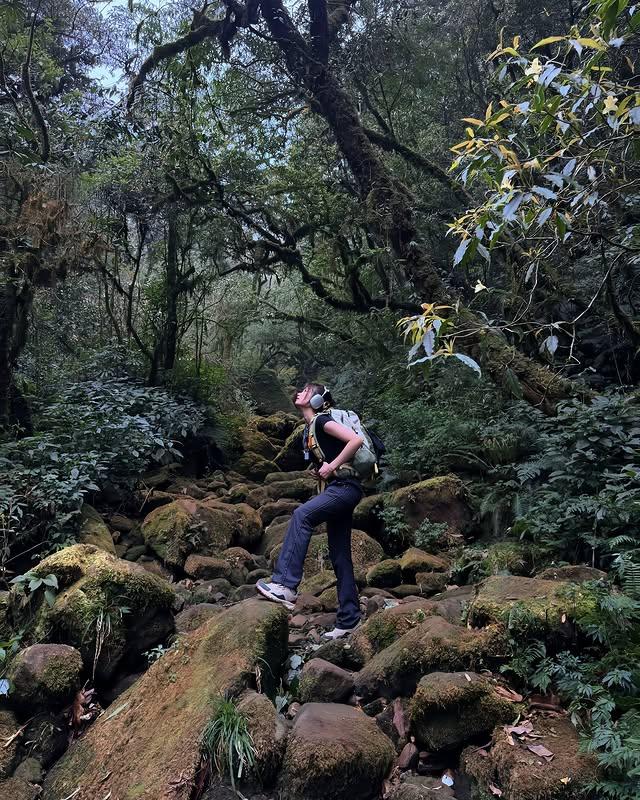 ElySmithVL's tweet photo. With the rapid development of OpenAI language models, I can’t help but wonder: are we just building tools to outsmart ourselves? It feels a bit like teaching machines to take over the job market while we sit back and watch. Progress or a step into chaos? You decide. https://t.co/9XLNY8uSoy