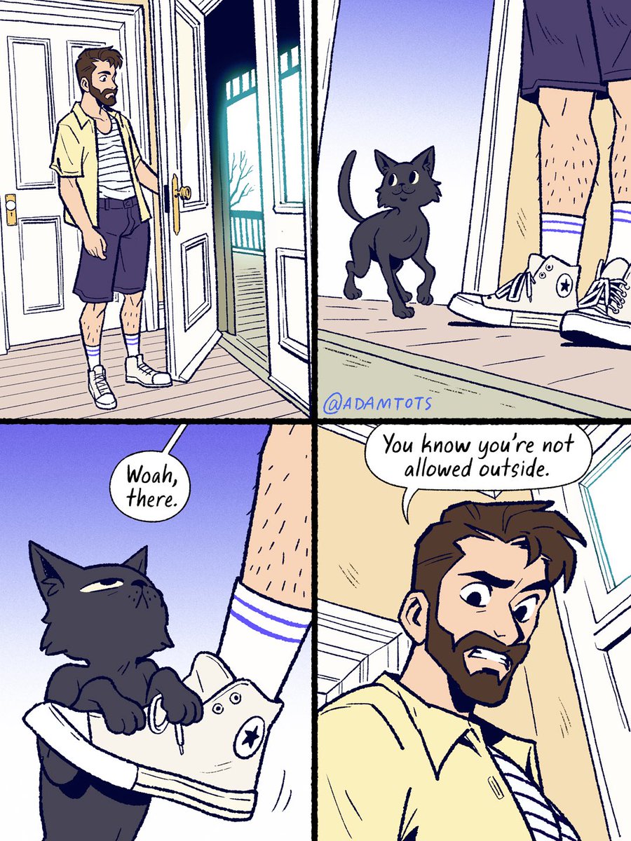 Adam Ellis tweet media