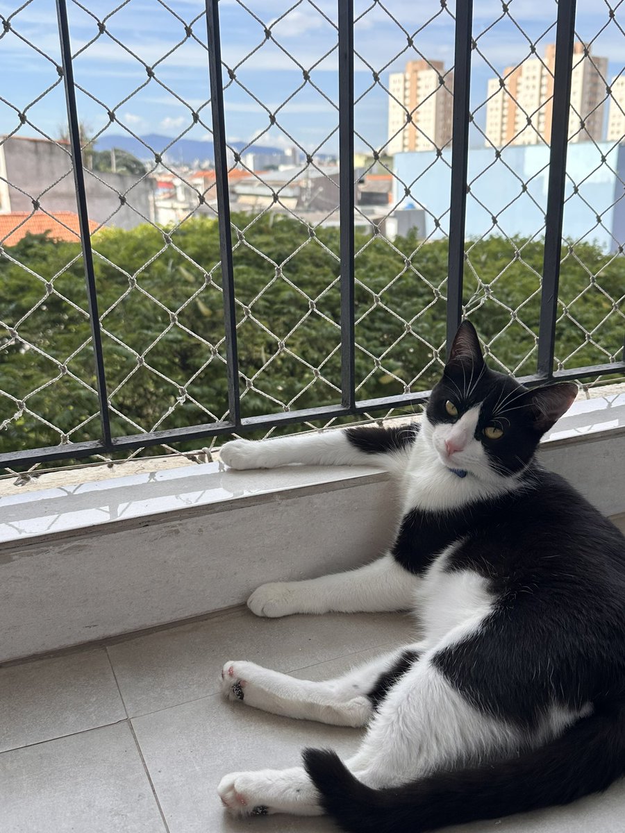 o divo com bracinho de caminhoneiro