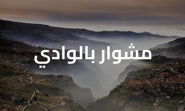 elie ziadeh tweet media